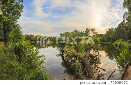 Peaceful scene from lovely small lake near Frankfurt in twillight Peaceful scene from lovely small lake near Frankfurt in twillight 79636072