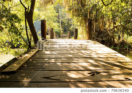Morning Sunlight through trees Wooden bridge in tropical rain forest Morning Sunlight through trees Wooden bridge in tropical rain forest 79636540
