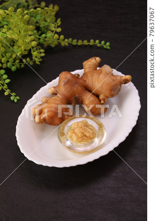 ginger ginger 79637067