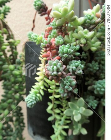 Planting a little Planting a little 79637084