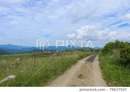 四國喀斯特源氏包裝動物的風景 四國喀斯特源氏包裝動物的風景 79637087