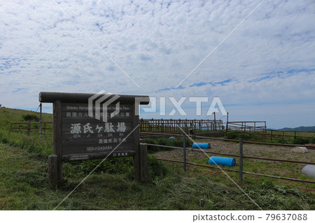 四國喀斯特源氏包裝動物的風景 四國喀斯特源氏包裝動物的風景 79637088