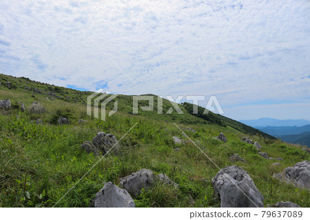 四國喀斯特源氏包裝動物的風景 四國喀斯特源氏包裝動物的風景 79637089