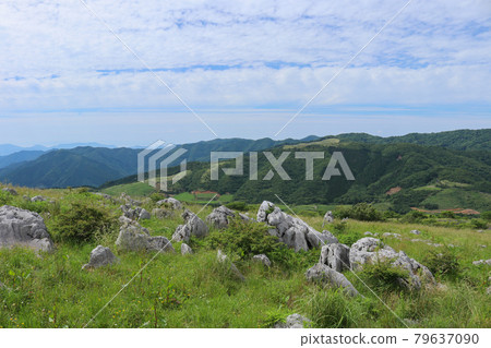 四國喀斯特源氏包裝動物的風景 四國喀斯特源氏包裝動物的風景 79637090