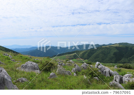 四國喀斯特源氏包裝動物的風景 四國喀斯特源氏包裝動物的風景 79637091