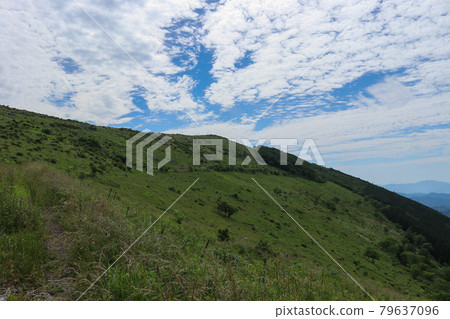 四國喀斯特源氏包裝動物的風景 四國喀斯特源氏包裝動物的風景 79637096