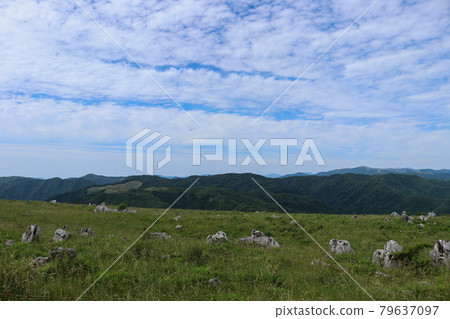 四國喀斯特源氏包裝動物的風景 四國喀斯特源氏包裝動物的風景 79637097