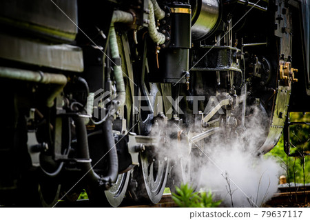 Locomotive to climb 79637117