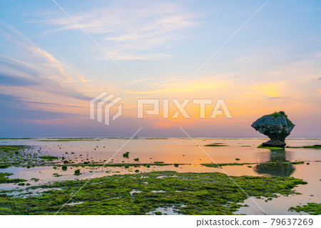 [Okinawa Prefecture] Dusk coast 79637269