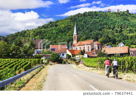 Picturesque countryside of Alsace wine region of France 79637441
