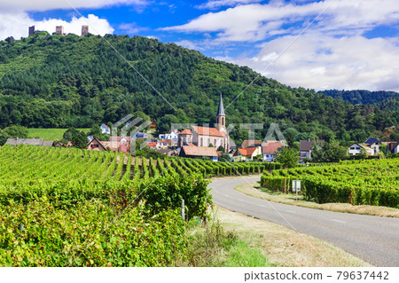 Picturesque countryside of Alsace wine region of France 79637442