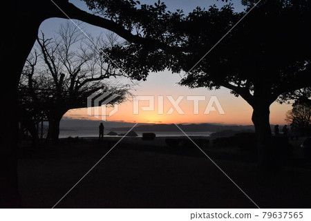 Silhouette at nightfall Silhouette at nightfall 79637565