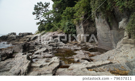 神奈川縣足柄下郡真鶴町真鶴岬的風景 神奈川縣足柄下郡真鶴町真鶴岬的風景 79637811
