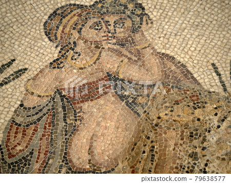 Ancient Roman mosaic of Villa del Casale, Sicily 79638577