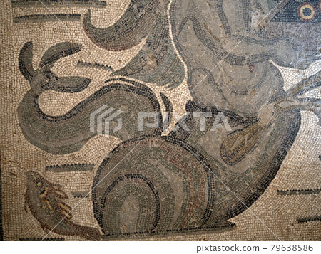 Ancient Roman mosaic of Villa del Casale, Sicily 79638586