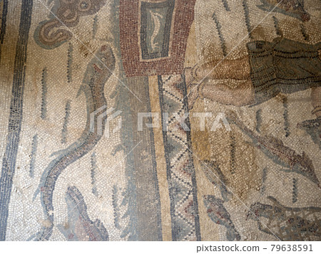 Ancient Roman mosaic of Villa del Casale, Sicily 79638591