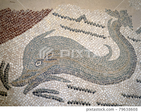 dolphin Ancient Roman mosaic of Villa del Casale, Sicily dolphin Ancient Roman mosaic of Villa del Casale, Sicily 79638608
