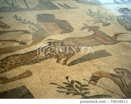 Ancient Roman mosaic of Villa del Casale, Sicily 79638611
