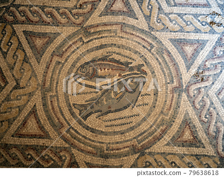 Ancient Roman mosaic of Villa del Casale, Sicily 79638618