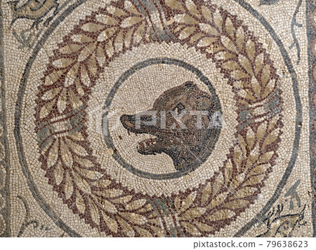 Ancient Roman mosaic of Villa del Casale, Sicily 79638623