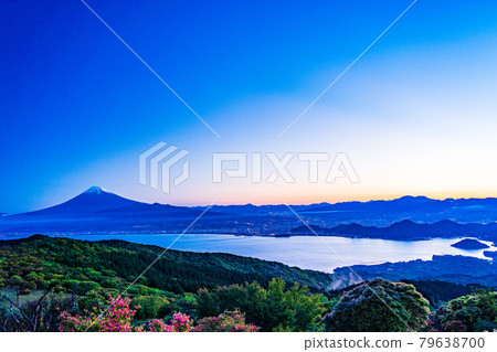 (Shizuoka Prefecture) Mt. Fuji over Suruga Bay seen from Mt. Kinkanzan at dawn 79638700