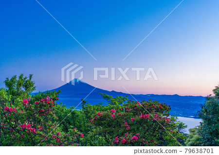 (Shizuoka Prefecture) Mt. Fuji over Suruga Bay seen from Mt. Kinkanzan at dawn (Shizuoka Prefecture) Mt. Fuji over Suruga Bay seen from Mt. Kinkanzan at dawn 79638701