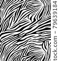 zebra skin texture safari style 79639184