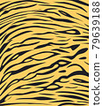 tiger skin texture safari style 79639188