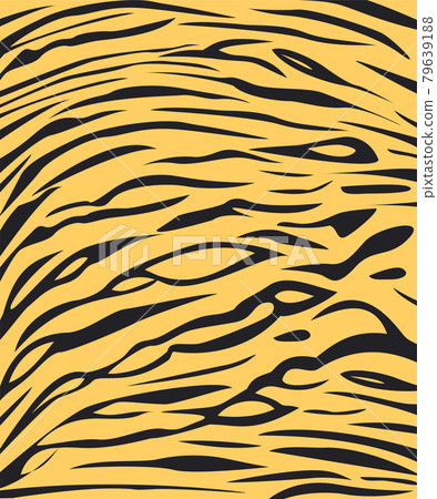 tiger skin texture safari style 79639188