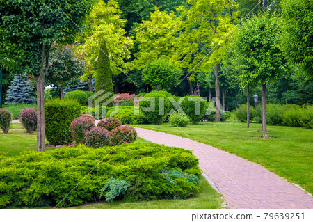 curved pedestrian walkway of stone tiles in park with landscape design with green plants bushes and trees, landscaped of thujas and deciduous buhes on the lawn, nobody. curved pedestrian walkway of stone tiles in park with landscape design with green plants bushes and trees, landscaped of thujas and deciduous buhes on the lawn, nobody. 79639251