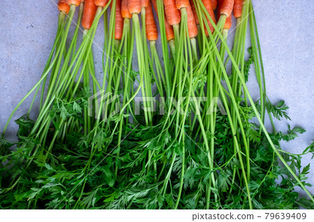 Fresh carrots with leaves from the farmer market Fresh carrots with leaves from the farmer market 79639409