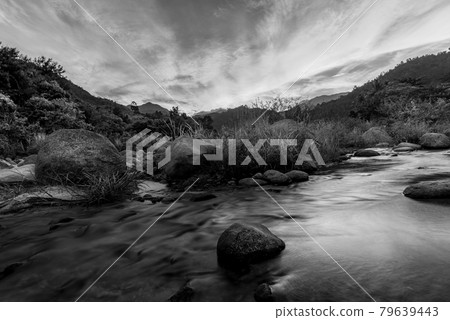View of landscape nature and river and color of sunlight, Black and white and monochrome style View of landscape nature and river and color of sunlight, Black and white and monochrome style 79639443