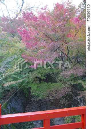 Autumn leaves of Jinsouji Autumn leaves of Jinsouji 79639480