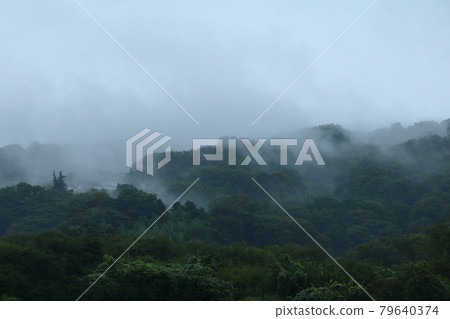 霧中的山 霧中的山 79640374