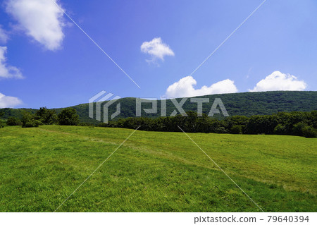 Azumayama in the refreshing early autumn Azumayama in the refreshing early autumn 79640394