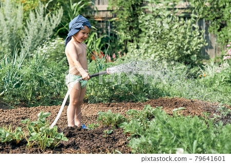 Little boy waters green plants growing in kitchen garden Little boy waters green plants growing in kitchen garden 79641601