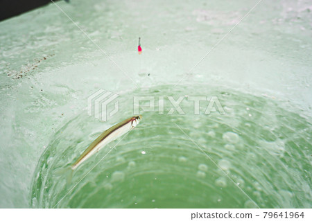 在冰上釣魚 79641964