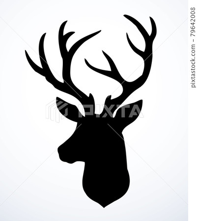 Beautiful noble deer. Vector drawing 79642008
