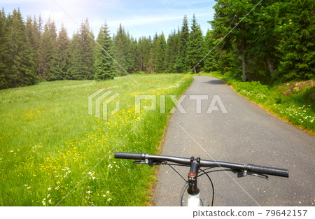 Bike steering wheel with asphalt road in Izera Mountains, selective focus, Poland. 79642157