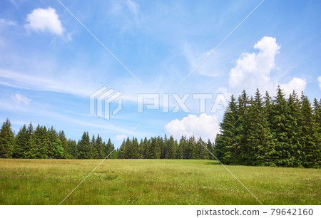Izera Mountains landscape on a sunny summer day, Poland. 79642160