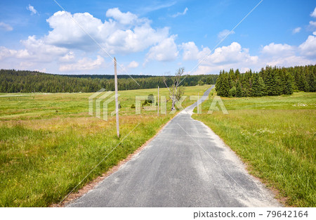 Asphalt bike path in Izera Mountains on a sunny summer day, Poland. 79642164