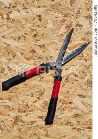 Vertical shot grass shears on plywood desk background. Vertical shot grass shears on plywood desk background. 79642999