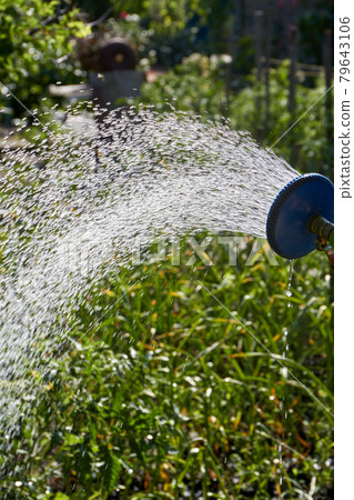 Motion water splases come out of sprinkler close-up. Motion water splases come out of sprinkler close-up. 79643106