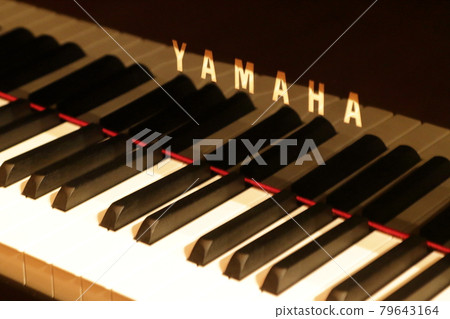 Piano keyboard Piano keyboard 79643164