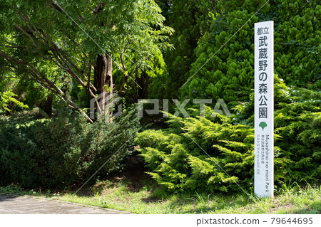 武藏之森公園入口（7月/府中市、三鷹市、調布市） 79644695