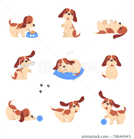 Cute Puppy Dog Doing Different Activities Set, Adorable Pet Animal with White and Brown Coat Playing, Sleeping and Eating Cartoon Vector Illustration Cute Puppy Dog Doing Different Activities Set, Adorable Pet Animal with White and Brown Coat Playing, Sleeping and Eating Cartoon Vector Illustration 79644943
