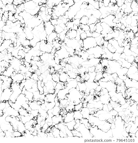 Marble realistic veins texture background digital illustration. Abstract black and white elegant marbling stone material backdrop. Interior decoration pattern design. Marble realistic veins texture background digital illustration. Abstract black and white elegant marbling stone material backdrop. Interior decoration pattern design. 79645103