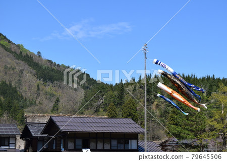 Carp streamer swimming in the blue sky Carp streamer swimming in the blue sky 79645506