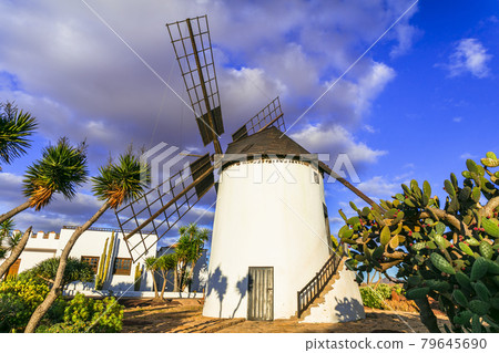 Traditional windmills of Fuerteventura. Antigua village. Canary islands 79645690