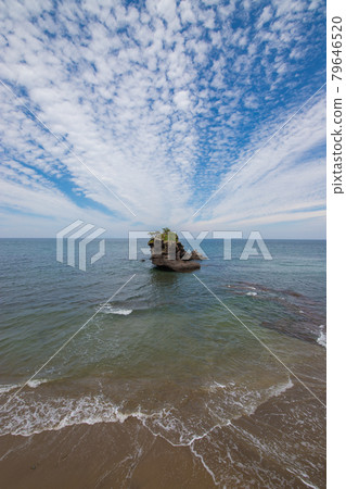 海石和小鳥居 海石和小鳥居 79646520